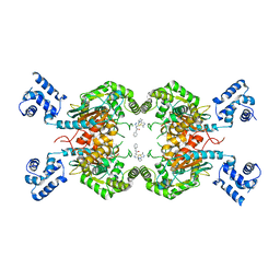 BU of 8bsl by Molmil