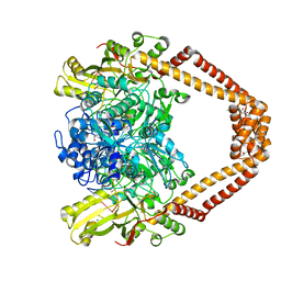 BU of 8c41 by Molmil