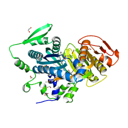 BU of 8cot by Molmil