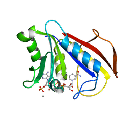 BU of 8dfr by Molmil