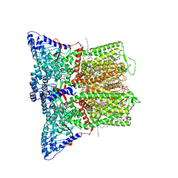 BU of 8foa by Molmil