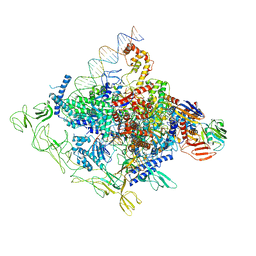 BU of 8gzh by Molmil