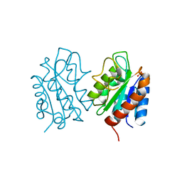 BU of 8hgq by Molmil