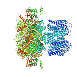 BU of 8hkf by Molmil