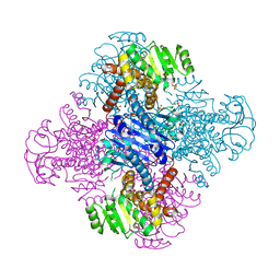 BU of 8hpe by Molmil