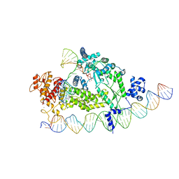 BU of 8ibw by Molmil