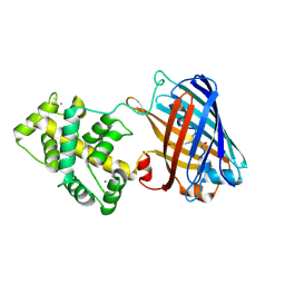 BU of 8osi by Molmil