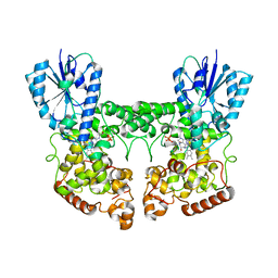 BU of 8p4x by Molmil