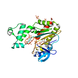 BU of 8ppd by Molmil