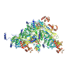 BU of 8trg by Molmil