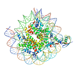 BU of 8txx by Molmil