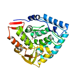 Molmil generated image of 1dmw