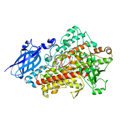 Molmil generated image of 1rrh