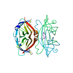 Molmil generated image of 1sle