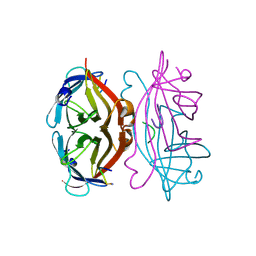 Molmil generated image of 1sts