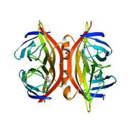 Molmil generated image of 1swd