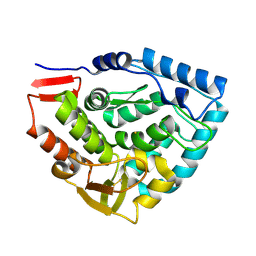 Molmil generated image of 1tdw