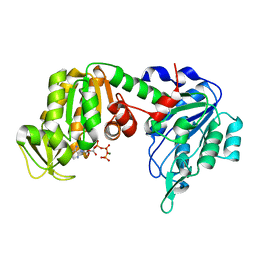 Molmil generated image of 1vjc