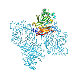 Molmil generated image of 1z4z