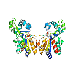 Molmil generated image of 2h59