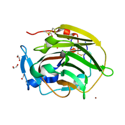 Molmil generated image of 2uur