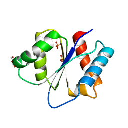 Molmil generated image of 2xdy