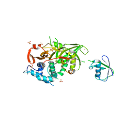 Molmil generated image of 2y5b