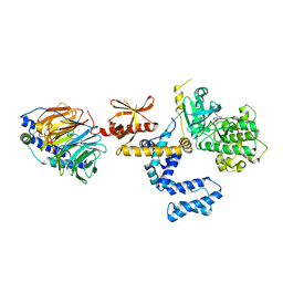 Molmil generated image of 3pvw