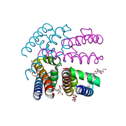 Molmil generated image of 3zjz