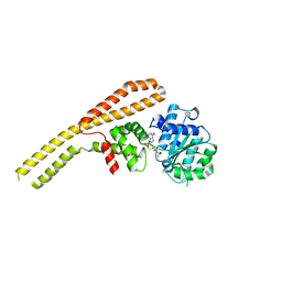Molmil generated image of 4hse