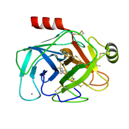 Molmil generated image of 4ktu