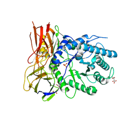 Molmil generated image of 4obr