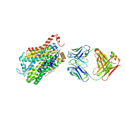 Molmil generated image of 4xpg