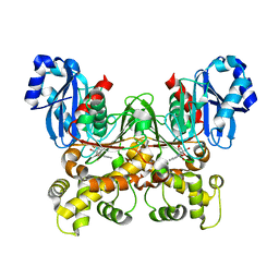 Molmil generated image of 5brd