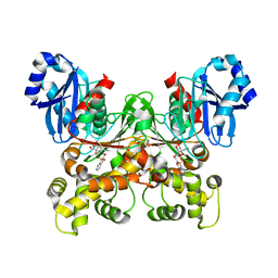 Molmil generated image of 5brh