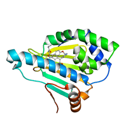 Molmil generated image of 5cf0