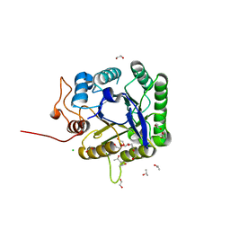 Molmil generated image of 5fip