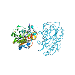 Molmil generated image of 5k4p