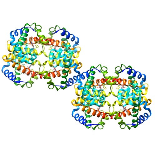 PDB:1hv4
