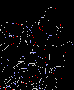 1SMD, hydrogen bonds are turned on