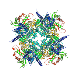 BU of 10ad by Molmil