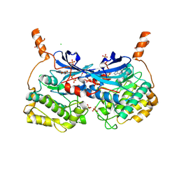 BU of 10bl by Molmil