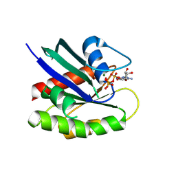 BU of 10dc by Molmil