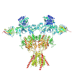 BU of 10ev by Molmil