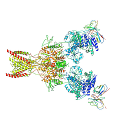 BU of 10ex by Molmil