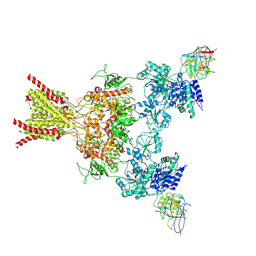 BU of 10ez by Molmil