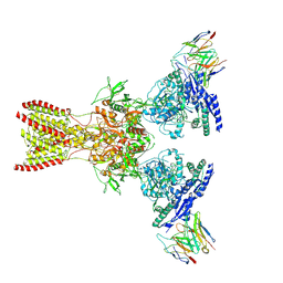 BU of 10fd by Molmil