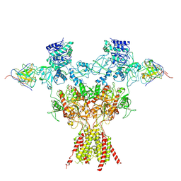 BU of 10fe by Molmil