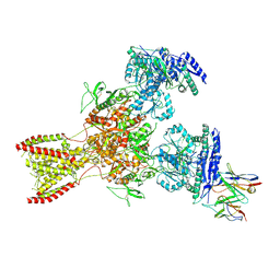 BU of 10fl by Molmil