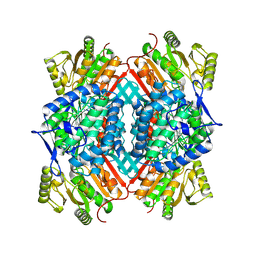 BU of 10fm by Molmil